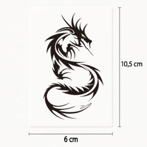 Tatouage dragon noir