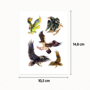 Tatouage oiseaux cool